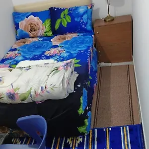 Проживание в семье Comfydees, Абу-Даби